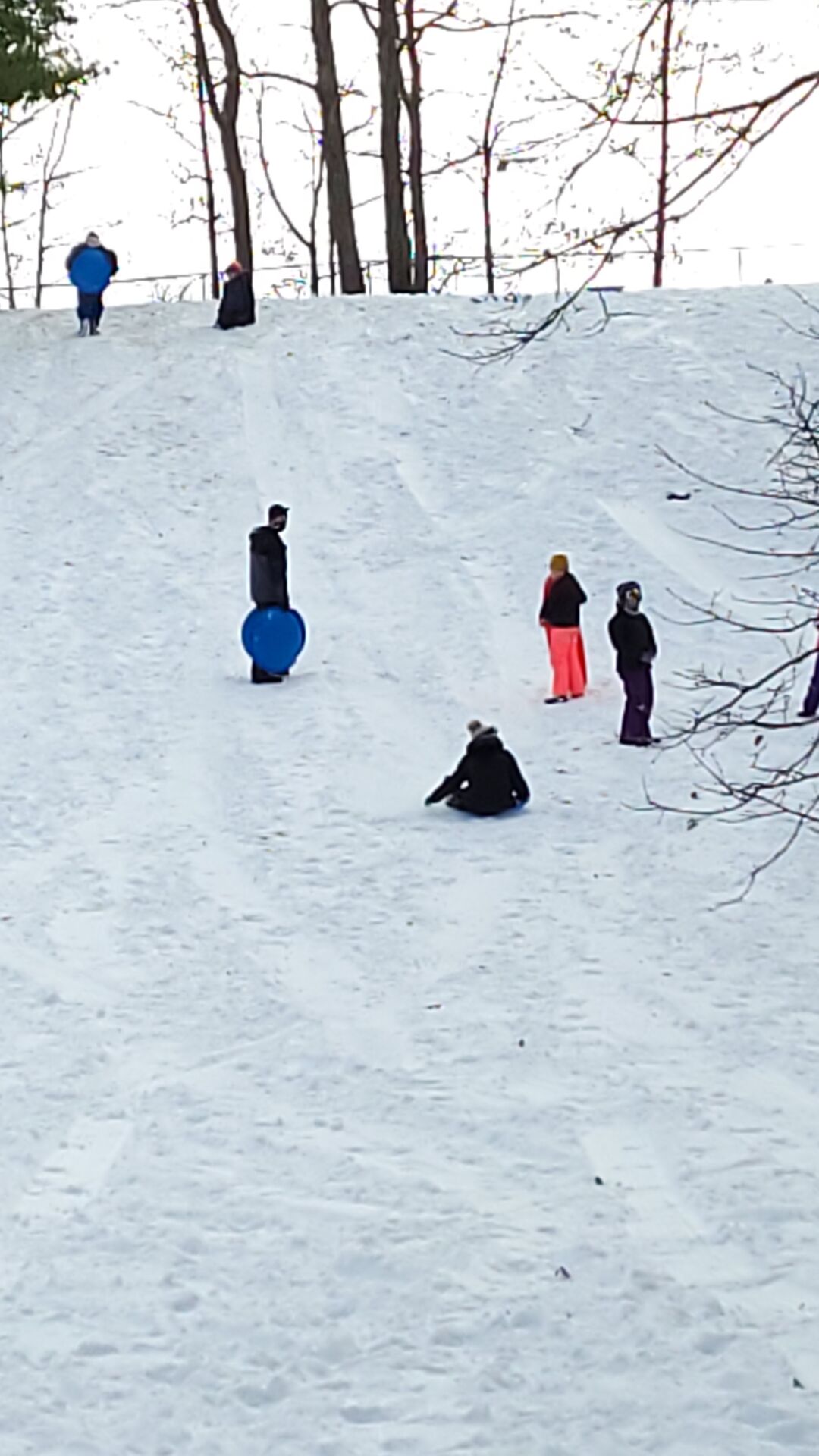 20201230_131238.jpg